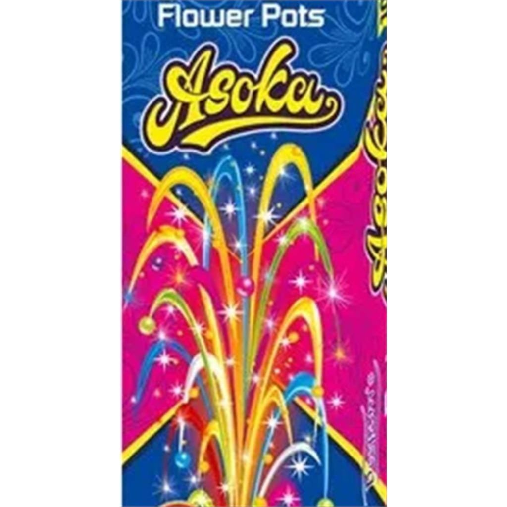 FLOWER POT ASOKA